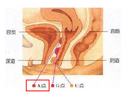 δ(bio)}-58.jpg