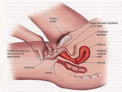 δ(bio)}-61.jpg