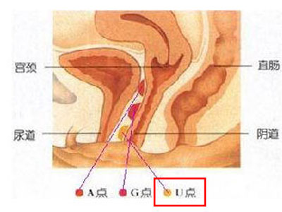 δ(bio)}-60.jpg